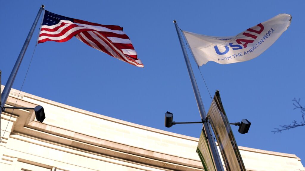 What is USAID? Explaining the US foreign aid agency and why Trump and Musk want to end it