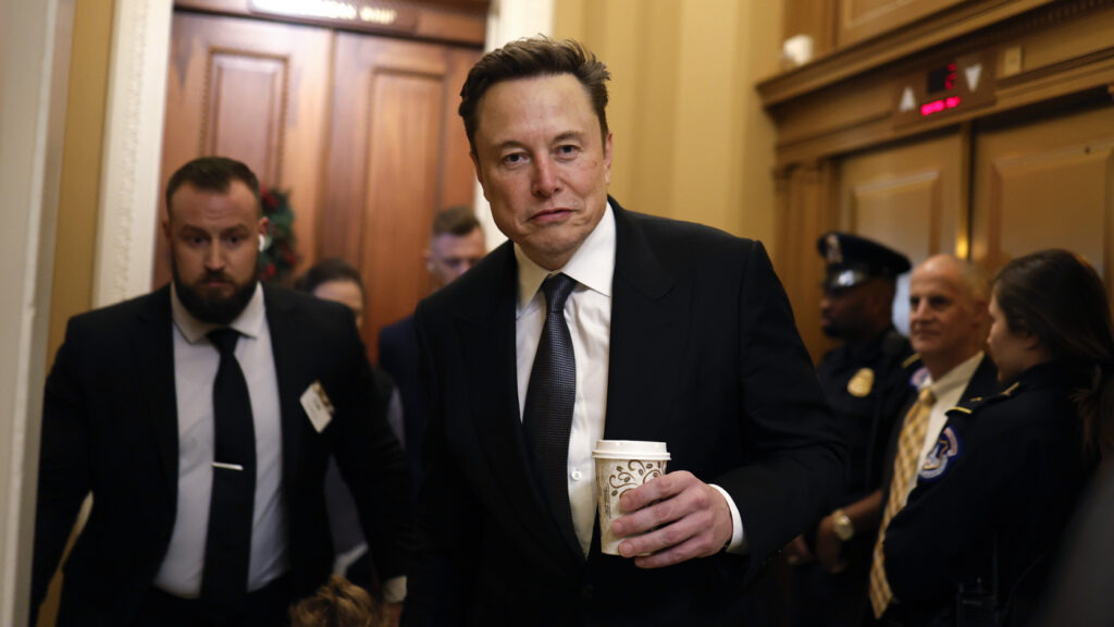 What does Elon Musk get out of remaking the government?