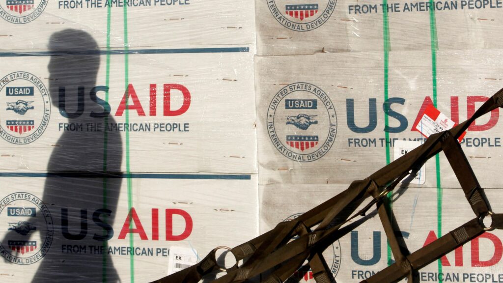 Trump and Musk should gut USAID. America needs to fix our own house first. | Opinion