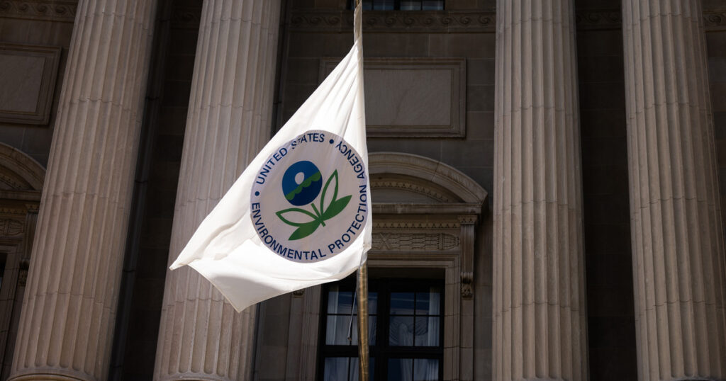 Inside Trump’s EPA: What Employees Say About the Decision to Stay or Go