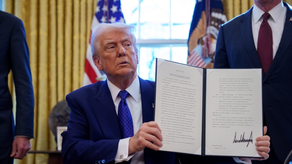 Courts block Trump’s DOGE actions — chaos, panic not proving to be best legal strategy