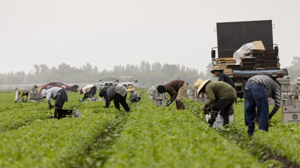 In child care centers and on farms, businesses are bracing for more immigration raids