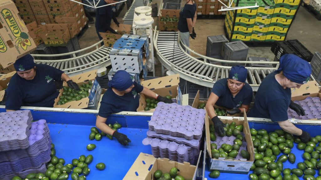 Trump’s erratic trade policies are baffling businesses, threatening investment and economic growth