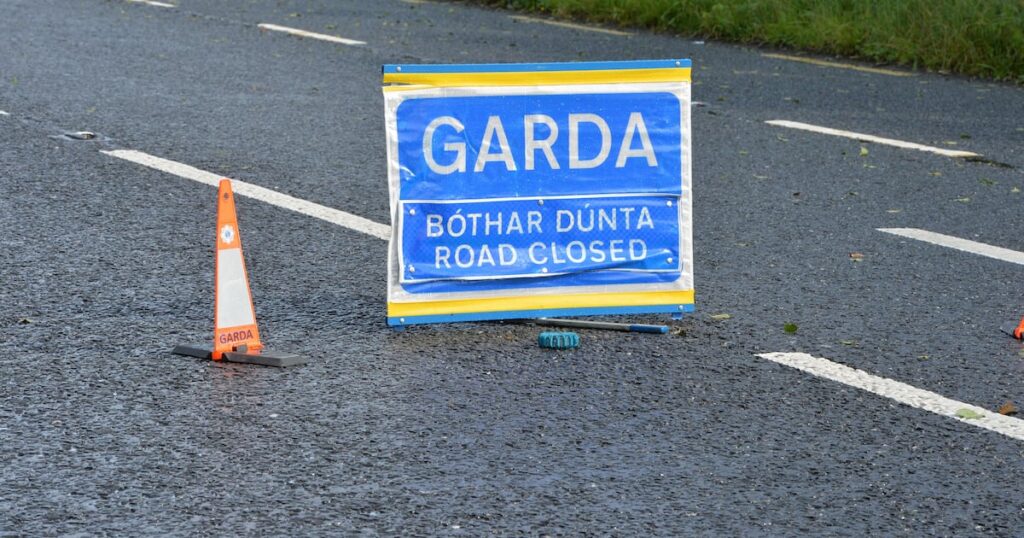Leaving Cert student (18) dies after car enters river in Co Tipperary