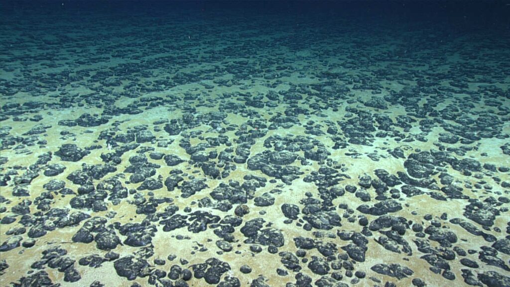The U.S. takes a step towards allowing mining on the ocean floor, a fragile ecosystem