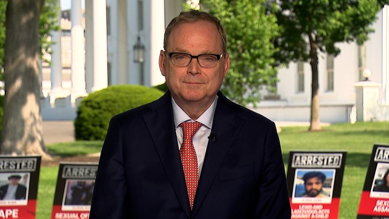 Top Trump economic adviser says multiple trade deals under way | CNN Politics