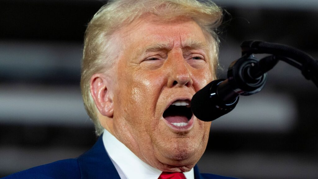 Donald Trump celebrates 100 days in office with campaign-style rally