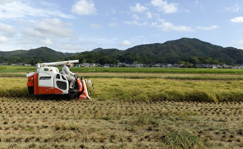 Why Rice Is a Sticking Point in U.S.-Japan Trade Talks