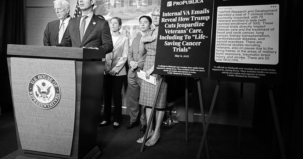 Democrats Blast Trump Plan to Shrink Veterans Affairs Staff