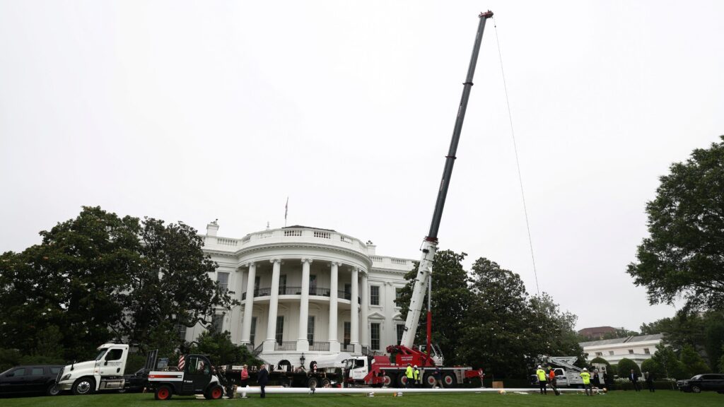 Trump installs massive new flag poles at the White House