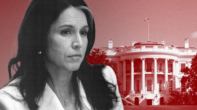 Trump’s intel chief Tulsi Gabbard is ‘off-message’ and out of favor, sources tell CNN | CNN Politics