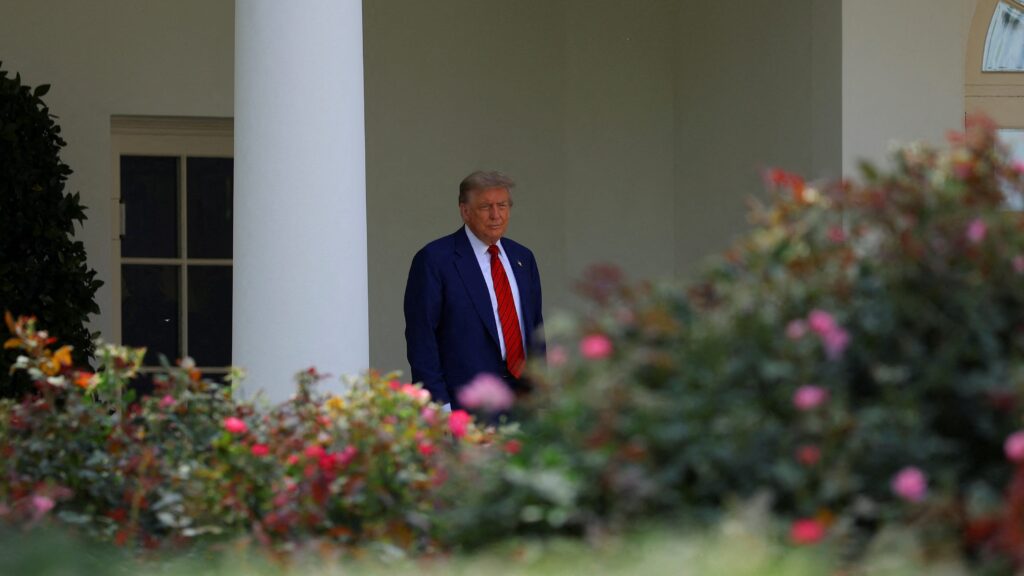 Grass for gravel: Trump’s Rose Garden revamp makes progress