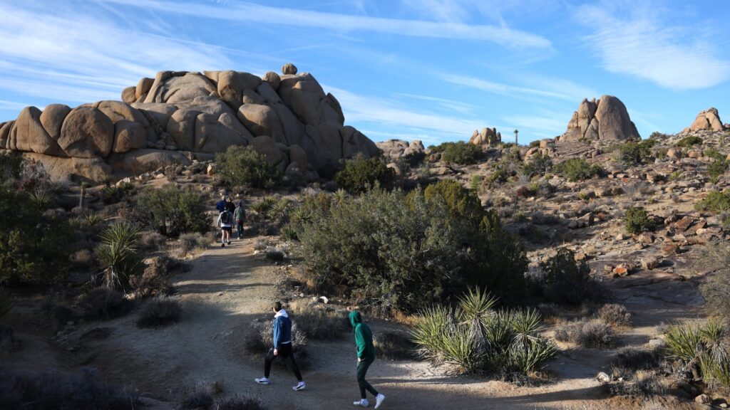 As visitors flock to parks, deep cuts leave rangers and wildlife at risk