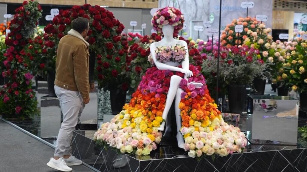 Colombian flower growers fear impact of tension between Petro and Trump administrations | AP News